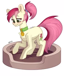 Size: 2500x3000 | Tagged: safe, artist:chibadeer, derpibooru import, roseluck, earth pony, pony, alternate hairstyle, behaving like a cat, collar, commissioner:doom9454, cute, cuteluck, cyrillic, fluffy, image, pet bed, pet tag, png, pony pet, ponytail, rosepet, russian