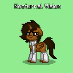 Size: 509x509 | Tagged: safe, artist:lincolnbrewsterfan, derpibooru import, editor:nc-tv, oc, oc:nocturnal vision, ponified, unofficial characters only, alicorn, pony, pony town, alicorn oc, clothes, female, floppy ears, green background, horn, image, jpeg, leg warmers, mare, nc-tv, nc-tv:creator ponified, pixel art, scarf, screenshots, simple background, solo, wings