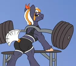 Size: 2550x2210 | Tagged: safe, artist:eow, derpibooru import, oc, oc:beatrice, unofficial characters only, earth pony, pony, abstract background, bench, butt, clothes, colored, dumbbell (object), female, flat colors, gym, image, looking at you, looking back, mare, muscles, muscular female, plot, png, simple background, skintight clothes, spats, strong mare, sweat, tanktop, weight lifting, weights