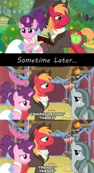 Size: 1280x2336 | Tagged: safe, anonymous artist, derpibooru import, big macintosh, marble pie, sugar belle, the big mac question, acceptance, aftermath, apple, apple tree, approval, barn, best wishes, better as friends, bittersweet, captions, clothes, congratulations, dress, epilogue, fanfic idea, female, food, friends, friendship, friendshipping, good end, happy, hat, headcanon, hope, husband and wife, i want my beloved to be happy, i wish you love, image, intertwined trees, just friends, looking at each other, lyrics in the description, male, marriage, married couple, moving on, party, pear, pear tree, png, ship sinking, shipping, shirt, smiling, song reference, straight, sugarmac, suit, thanks, tree, vest, wedding, wedding dress, youtube link, youtube link in the description