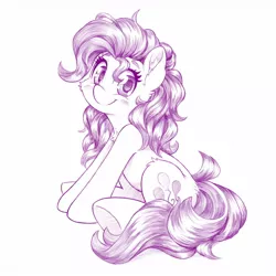 Size: 1280x1280 | Tagged: safe, artist:dstears, derpibooru import, pinkie pie, earth pony, pony, butt fluff, cheek fluff, chest fluff, cute, diapinkes, ear fluff, female, fluffy, grayscale, image, jpeg, leg fluff, looking at you, mare, monochrome, pencil drawing, ponk, simple background, sitting, sketch, smiling, smiling at you, solo, traditional art, underhoof, white background