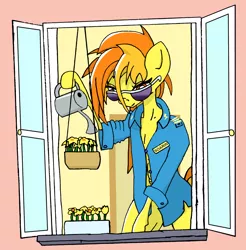 Size: 1996x2030 | Tagged: safe, artist:greeneyedmistress, derpibooru import, spitfire, pegasus, pony, clothes, female, flower, glasses, image, mare, png, solo