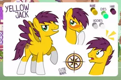 Size: 1280x852 | Tagged: safe, artist:jennieoo, derpibooru import, oc, oc:yellow jack, happy, image, jpeg, one hoof raised, reference sheet, sheet, shocked, show accurate, shy, solo, vector, wings
