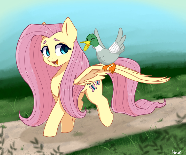 Size: 3000x2500 | Tagged: safe, artist:bunchedupletters, artist:hrukii, derpibooru import, fluttershy, bird, duck, pegasus, pony, bandage, chest fluff, cute, female, image, jpeg, mare, open mouth, shyabetes, solo, spread wings, that pony sure does love animals, trace, wings