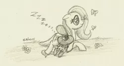 Size: 600x318 | Tagged: safe, artist:grivous, derpibooru import, fluttershy, butterfly, insect, crossover, flower, friendshipping, hat, image, jpeg, onomatopoeia, sleeping, sound effects, wander over yonder, wander (wander over yonder), zzz