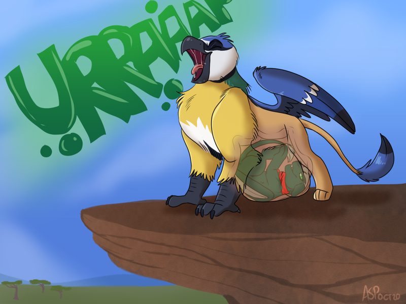 Size: 1000x750 | Tagged: questionable, artist:chubbyjam, derpibooru import, oc, oc:edwin griffon, oc:kelvin, unofficial characters only, gryphon, blue tit, burp, fetish, image, open mouth, png, post-vore, shadewing, tongue out, vore, willing prey, willing vore