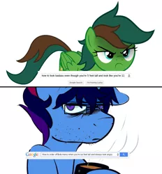 Size: 945x1020 | Tagged: safe, artist:earth_pony_colds, artist:supermark, artist:wickedsilly, derpibooru import, editor:supermark, oc, oc:marquis majordome, oc:windy barebow evergreen, unofficial characters only, pegasus, unicorn, 2 panel comic, comic, funny, google, google search, image, mcdonald's, meme, png, recolor, small pony, upset