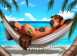 Size: 3509x2550 | Tagged: safe, artist:pridark, derpibooru import, oc, unofficial characters only, pony, beach, chest fluff, commission, eyes closed, hammock, image, island, ocean, palm tree, patreon, patreon reward, png, relaxing, sand, solo, sunglasses, tree