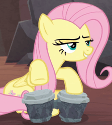 Size: 844x946 | Tagged: safe, derpibooru import, edit, edited screencap, screencap, fluttershy, sweet and smoky, animated, bongos, drums, gif, image, musical instrument, solo