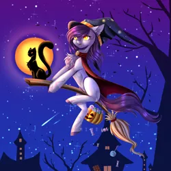 Size: 3000x3000 | Tagged: safe, artist:minelvi, derpibooru import, oc, unofficial characters only, cat, earth pony, pony, broom, building, chest fluff, colored hooves, commission, earth pony oc, flying, flying broomstick, hat, image, night, png, pumpkin bucket, shooting star, solo, stars, witch hat, ych result