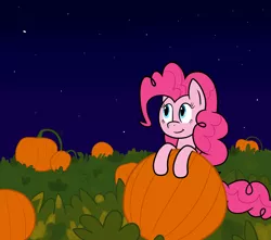 Size: 1500x1325 | Tagged: safe, artist:scraggleman, derpibooru import, pinkie pie, ponified, earth pony, pony, charlie brown, drawthread, great pumpkin, halloween, holiday, image, it's the great pumpkin charlie brown!, night, png, pumpkin, requested art, solo