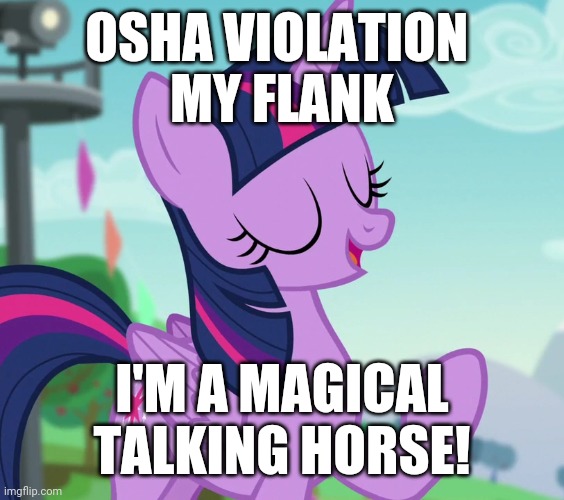 Size: 564x500 | Tagged: safe, derpibooru import, edit, edited screencap, screencap, twilight sparkle, alicorn, the mane attraction, caption, cropped, image, image macro, jpeg, osha, screw the rules, solo, text, twilight sparkle (alicorn)