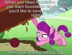 Size: 806x609 | Tagged: safe, derpibooru import, edit, edited screencap, screencap, lily longsocks, pony, crusaders of the lost mark, ball, cropped, cs188, hoh sis, image, lifting, meme, no one needs foundation repair, png, ponified meme, solo, strength, youtube poop