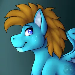 Size: 800x800 | Tagged: safe, artist:sursiq, derpibooru import, oc, oc:carbon, unofficial characters only, pegasus, pony, birthday, blue, blue eyes, brown hair, brown mane, colored pupils, ear fluff, freckles, gift art, gradient background, image, looking at you, looking back, male, pegasus oc, png, pony oc, profile, shading, smiling, solo, spread wings, stallion, watermark, wings