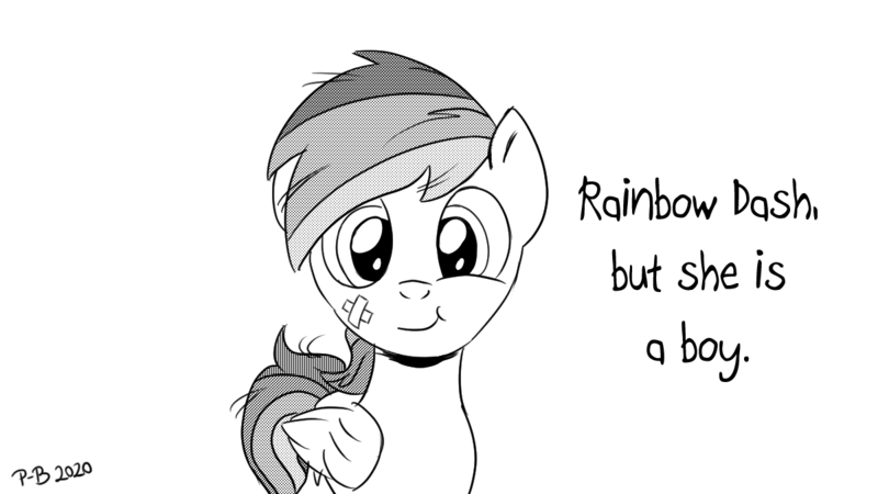 Size: 1200x675 | Tagged: safe, artist:pony-berserker, derpibooru import, rainbow dash, bandaid, black and white, grayscale, image, looking at you, monochrome, png, pony-berserker's twitter sketches, rainbow blitz, rule 63, simple background, solo, stippling, white background