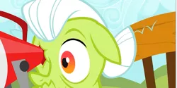 Size: 905x451 | Tagged: safe, derpibooru import, screencap, granny smith, earth pony, pony, sisterhooves social, eye scream, female, floppy ears, image, mare, pain, png, solo