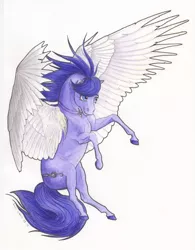 Size: 6611x8477 | Tagged: safe, artist:lady-limule, derpibooru import, oc, oc:vionova, unofficial characters only, pegasus, pony, colored hooves, female, flying, image, jpeg, mare, pegasus oc, rearing, solo, traditional art, wings