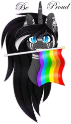 Size: 2108x3688 | Tagged: safe, artist:aestheticallylithi, derpibooru import, oc, oc:lithium frost, unofficial characters only, pony, unicorn, female, flag, image, lgbt, mare, png, pride, pride flag, proud, simple background, transparent background