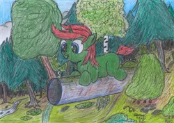 Size: 2270x1608 | Tagged: safe, artist:vovi, derpibooru import, oc, oc:void virgin sparkles, unofficial characters only, pony, unicorn, colt, dock, foal, happy, image, male, nature, png, solo, traditional art
