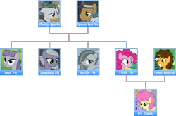 Size: 3000x1976 | Tagged: safe, artist:negatif22, derpibooru import, cheese sandwich, cloudy quartz, igneous rock pie, li'l cheese, limestone pie, marble pie, maud pie, pinkie pie, earth pony, pony, the last problem, family tree, female, image, male, mare, pie family, pie sisters, png, siblings, simple background, sisters, stallion, transparent background