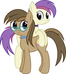 Size: 2210x2488 | Tagged: safe, artist:joey, derpibooru import, oc, oc:dawnsong, oc:evensong, unofficial characters only, earth pony, pegasus, pony, collar, female, glasses, image, png, siblings, simple background, sisters, transparent background, vector