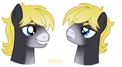 Size: 1200x660 | Tagged: safe, artist:jennieoo, derpibooru import, oc, oc:crashing thunder, pegasus, pony, emotes, emotions, happy, image, png, show accurate, simple background, smiling, solo, transparent background, vector