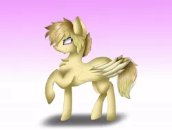 Size: 1080x810 | Tagged: safe, artist:rxndxm.artist, derpibooru import, oc, unofficial characters only, pegasus, pony, chest fluff, gradient background, image, jpeg, pegasus oc, raised hoof, solo, wings