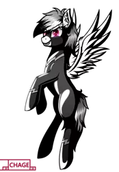 Size: 1500x2160 | Tagged: safe, alternate version, artist:chage, derpibooru import, rainbow dash, pegasus, pony, clothes, costume, flying, image, monochrome, multicolored hair, neo noir, partial color, png, shadowbolt dash, shadowbolts, shadowbolts costume, simple background, smiling, solo, spread wings, transparent background, wings