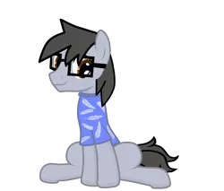 Size: 1200x1024 | Tagged: safe, artist:silver-bristle, derpibooru import, oc, oc:silver bristle, unofficial characters only, earth pony, pony, derpibooru community collaboration, 2021 community collab, clothes, derpibooru exclusive, glasses, image, male, png, shirt, simple background, sitting, solo, stallion, t-shirt, transparent background