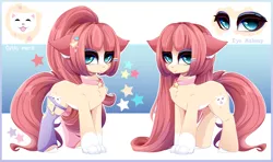 Size: 6600x3917 | Tagged: safe, artist:xsatanielx, derpibooru import, oc, cat, cat pony, original species, pony, blaze (coat marking), clothes, collar, female, hockless socks, image, looking at you, pale belly, png, rcf community, reference sheet, socks, socks (coat marking), standing