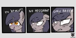 Size: 1024x522 | Tagged: suggestive, artist:sorajona, derpibooru import, oc, oc:miyu, pony, unicorn, ahegao, angry, bust, comic, comic strip, cute, eye clipping through hair, female, floppy ears, horny, image, joke, mare, meme, no pregnant, no take only throw, only breed, open mouth, pls breed, png, ponified meme, portrait, reference, solo, tongue out, wingding eyes