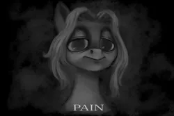 Size: 2048x1365 | Tagged: safe, artist:violettacamak, derpibooru import, oc, oc:absinthe hyacinthum, earth pony, pony, dead stare, image, jpeg, looking at you, monochrome, pain, solo, text