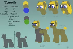 Size: 6000x4000 | Tagged: safe, artist:donnik, derpibooru import, oc, oc:donnik, pegasus, clothes, glasses, image, jewelry, png, reference sheet, solo, sweater