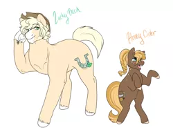 Size: 1024x768 | Tagged: safe, artist:arexstar, derpibooru import, oc, oc:honey cider, oc:lucky buck, unofficial characters only, earth pony, pony, female, filly, image, male, offspring, parent:applejack, parent:trouble shoes, parent:troubleshoes clyde, parents:troublejack, png, simple background, stallion, white background