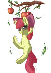 Size: 3541x5016 | Tagged: safe, alternate version, artist:db, derpibooru import, apple bloom, earth pony, pony, :p, adorabloom, apple, cute, female, filly, food, hanging, image, png, solo, tongue out, tree, underhoof