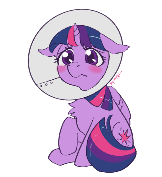 Size: 1887x2062 | Tagged: safe, artist:taytinabelle, derpibooru import, twilight sparkle, twilight sparkle (alicorn), alicorn, pony, adorable distress, blushing, chest fluff, cone, cute, ear fluff, elizabethan collar, female, floppy ears, image, mare, png, raised hoof, sad, sadorable, simple background, sitting, solo, twiabetes, white background