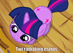 Size: 846x619 | Tagged: suggestive, derpibooru import, edit, edited screencap, screencap, twilight sparkle, magical mystery cure, animated, aura, both cutie marks, caption, cute, estrus, eyes closed, female, from above, gif, glow, grin, happy, image, image macro, picture, picture frame, smiling, solo, talking, text, top down, twiabetes, weapons-grade cute