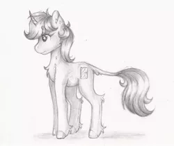 Size: 1600x1348 | Tagged: safe, artist:lightisanasshole, derpibooru import, oc, oc:dorm pony, unofficial characters only, pony, unicorn, chest fluff, colored hooves, curved horn, ear fluff, female, horn, image, jpeg, leg fluff, leonine tail, pencil drawing, reference sheet, solo, tail fluff, traditional art