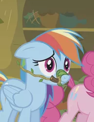 Size: 958x1242 | Tagged: safe, derpibooru import, screencap, pinkie pie, rainbow dash, earth pony, pegasus, pony, bridle gossip, bit, bridle, female, floppy ears, image, jpeg, mare, sad, solo focus, tack