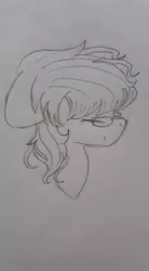 Size: 528x960 | Tagged: safe, artist:aleuoliver, derpibooru import, oc, unofficial characters only, earth pony, pony, earth pony oc, eyes closed, glasses, hat, image, jpeg, lineart, solo, traditional art