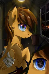 Size: 1096x1652 | Tagged: safe, artist:yuris, derpibooru import, oc, oc:sharpwing, unofficial characters only, pegasus, pony, bandage, hospital, image, lanterns, night, png, solo