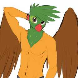 Size: 2400x2400 | Tagged: suggestive, artist:d-lowell, color edit, derpibooru import, edit, oc, oc:kalimu, unofficial characters only, anthro, gryphon, clothes, colored, image, male, partial nudity, png, solo, solo male, topless