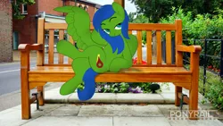 Size: 6000x3376 | Tagged: safe, artist:indonesiarailroadpht, derpibooru import, oc, oc:checkpoint, unofficial characters only, pegasus, pony, bench, building, female, fence, image, irl, looking at you, mare, photo, png, ponies in real life, road, sidewalk, watermark