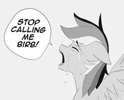 Size: 1197x961 | Tagged: safe, artist:owlnon, derpibooru import, rainbow dash, pegasus, pony, birb, black and white, crying, despair, drawthread, eyes closed, floppy ears, grayscale, image, meme, misery, monochrome, open mouth, png, ponified meme, sad, solo, speech bubble