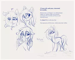 Size: 2880x2298 | Tagged: safe, artist:aureai-sketches, derpibooru import, oc, oc:chloé, unofficial characters only, earth pony, pony, expressions, female, image, mare, png, simple background, sketch, solo