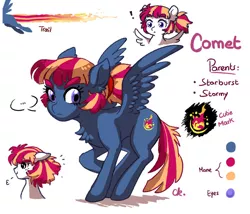 Size: 966x826 | Tagged: safe, artist:kerui8d, derpibooru import, oc, oc:comet, pegasus, pony, kilalaverse, pandoraverse, female, image, jpeg, mare, offspring, offspring's offspring, parent:oc:aerostorm, parent:oc:starburst, parents:oc x oc, reference sheet, simple background, white background