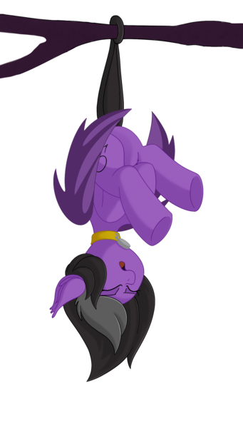 Size: 1425x2508 | Tagged: safe, artist:allyster-black, derpibooru import, oc, oc:augen, unofficial characters only, bat pony, pony, bat pony oc, bat wings, collar, cute, female, hanging, hanging upside down, image, mare, png, sleeping, solo, upside down, wings