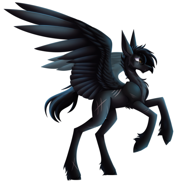 Size: 3205x3286 | Tagged: safe, artist:sadatrix, derpibooru import, oc, oc:hades, pegasus, pony, image, male, png, simple background, solo, stallion, transparent background