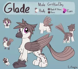 Size: 2600x2300 | Tagged: safe, artist:litrojia, derpibooru import, oc, oc:glade, unofficial characters only, bird, gryphon, butt, chest fluff, griffon oc, image, male, paws, plot, png, reference sheet, spots, spread wings, standing, tail feathers, two toned wings, underpaw, wings