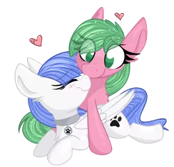 Size: 2800x2700 | Tagged: safe, artist:littleblackraencloud, derpibooru import, oc, oc:pine berry, oc:snow pup, unofficial characters only, earth pony, pegasus, pony, blushing, chest fluff, collar, commission, dog tags, duo, ear fluff, eye clipping through hair, eyebrows visible through hair, eyes closed, female, heart, horn, image, mane, mare, nuzzling, oc x oc, png, shipping, simple background, tail, transparent background, wings, ych result